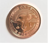 One Shit - Novelty Coin