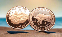 Dog Shit - Novelty Coin